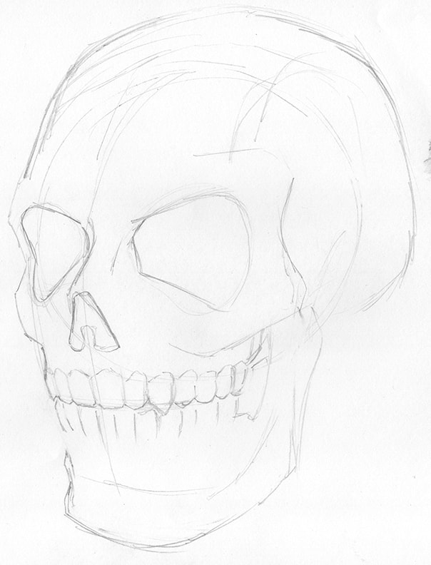 human skull line drawing