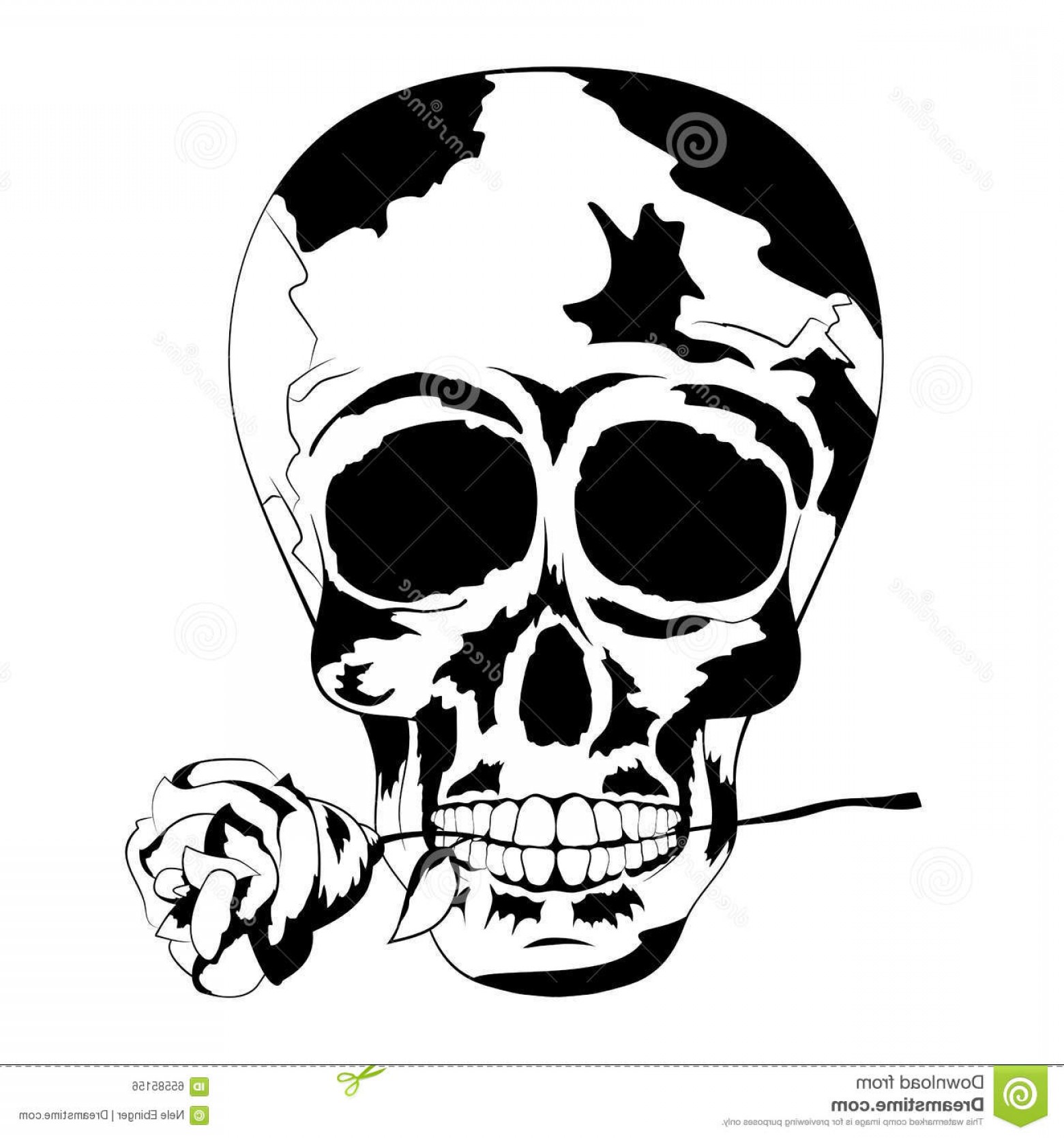 1560x1668 stock illustration black white human skull rose mouth tattoo skull - Human Skull Line Drawing