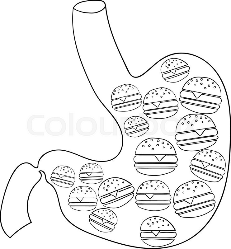742x800 human stomach with hamburger vector stock vector colourbox - Human Stomach Drawing