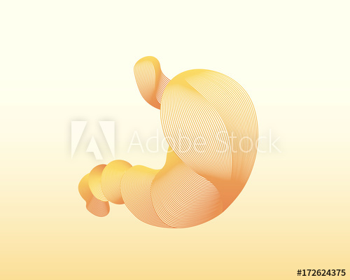 500x400 linear human stomach vector illustration colorful drawing can - Human Stomach Drawing
