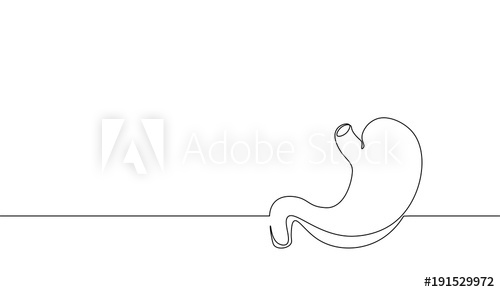 500x292 single continuous line art anatomical human stomach silhouette - Human Stomach Drawing