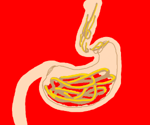 300x250 a look - Human Stomach Drawing