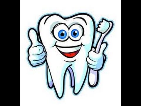 480x360 Human Teeth Types Video For Kids - Human Teeth Drawing