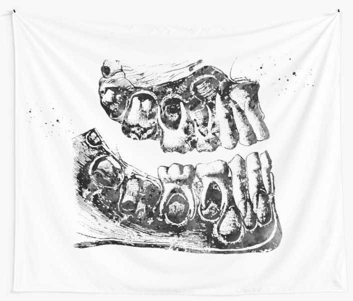 705x602 Human Teeth Anatomy Wall Tapestries - Human Teeth Drawing