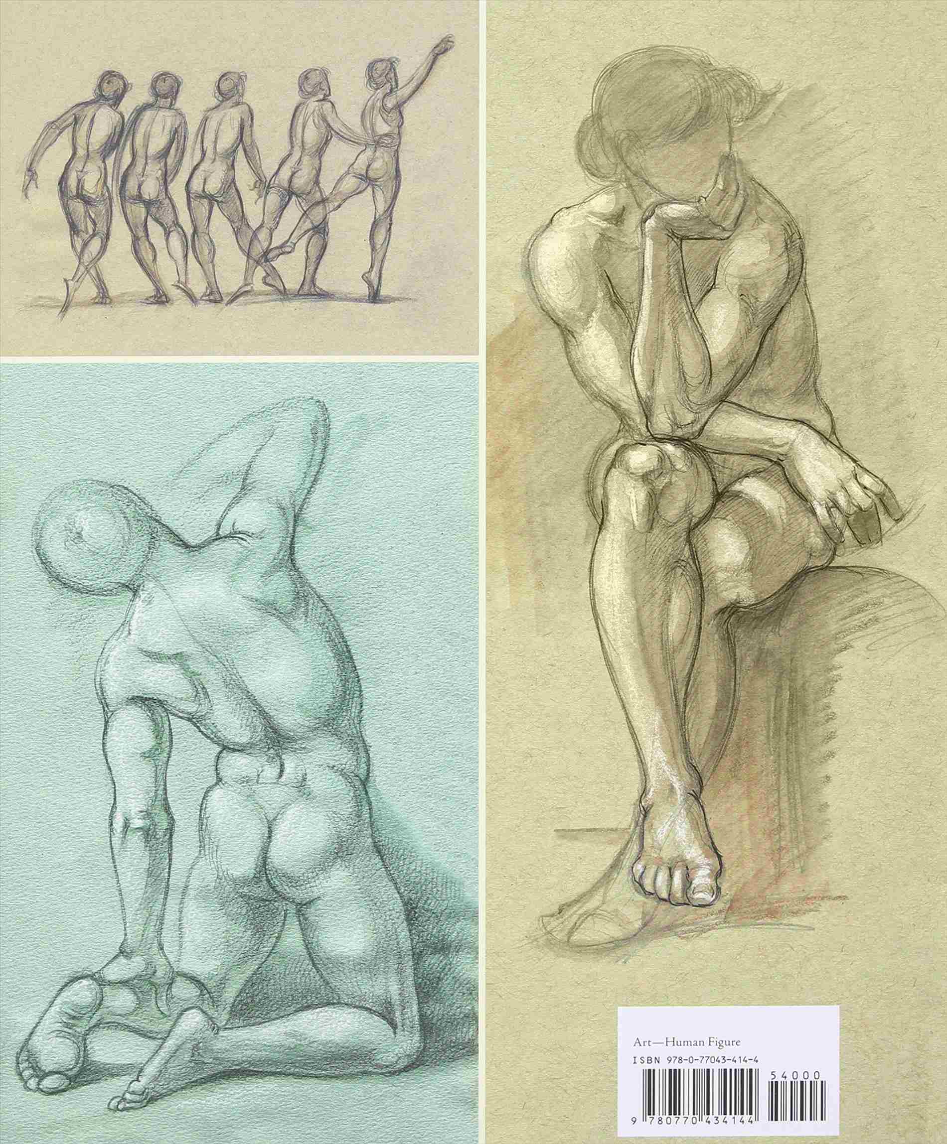 1900x2297 how the human torso and chest body figure drawing tutorial - Human Torso Drawing