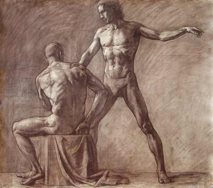 700x619 Human Torso Anatomy - Human Torso Drawing