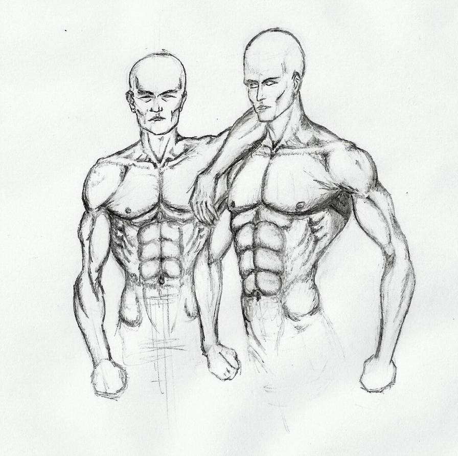 896x891 Human Torso - Human Torso Drawing