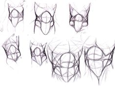 236x188 best draw human torso images body reference, anatomy drawing - Human Torso Drawing