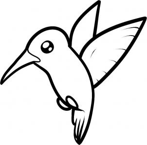 302x297 How To Draw How To Draw A Hummingbird For Kids - Hummingbird Drawing