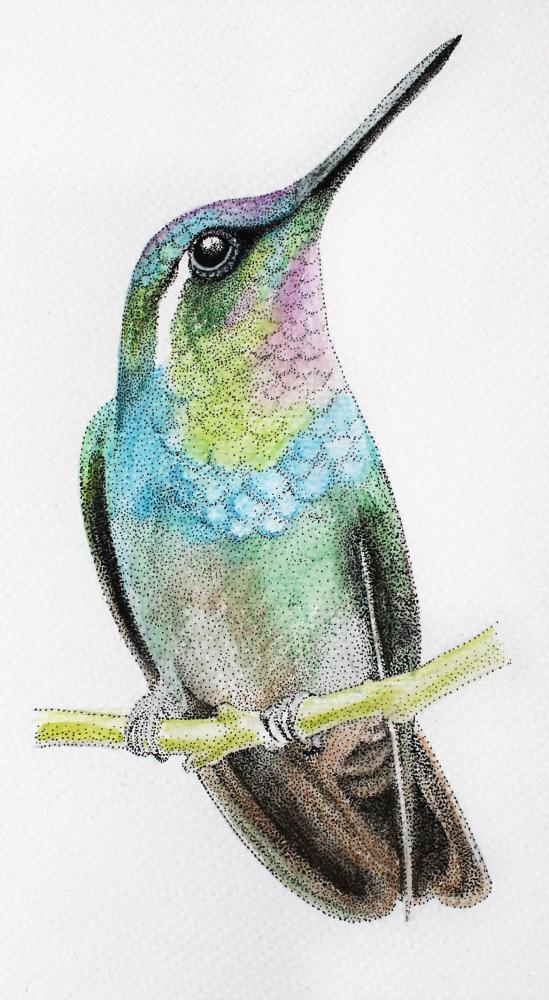 549x1000 Hummingbird Colored Drawing Made Of Dots - Hummingbird Drawing