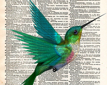 340x270 Hummingbird Drawing Etsy - Hummingbird Drawing