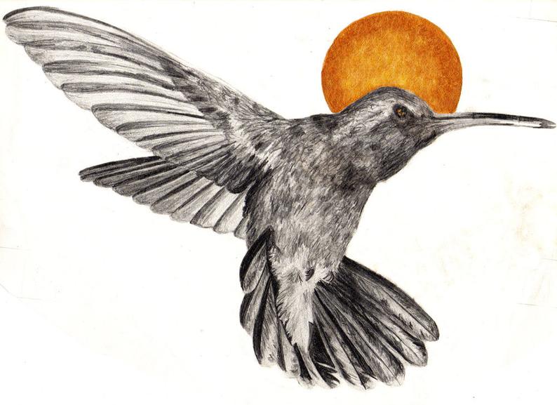 794x577 Botanical Greeting Cards Hummingbird Drawing Printed On Linen Etsy - Hummingbird Drawing