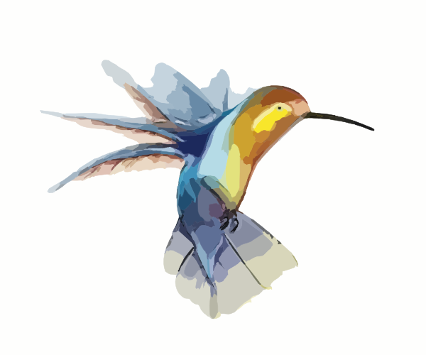 600x500 Hummingbird Clip Art - Hummingbird Drawing Clip Art