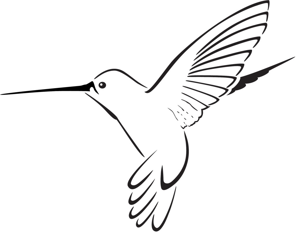 1023x803 Hummingbird Drawing Clipart - Hummingbird Drawing Clip Art