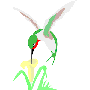 300x300 Hummingbird Drawings Clipart - Hummingbird Drawing Clip Art