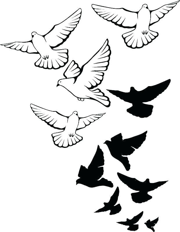 620x800 Outline Drawings Of Birds Clip Art Library Flying Simple Bird Draw - Hummingbird Drawing Clip Art