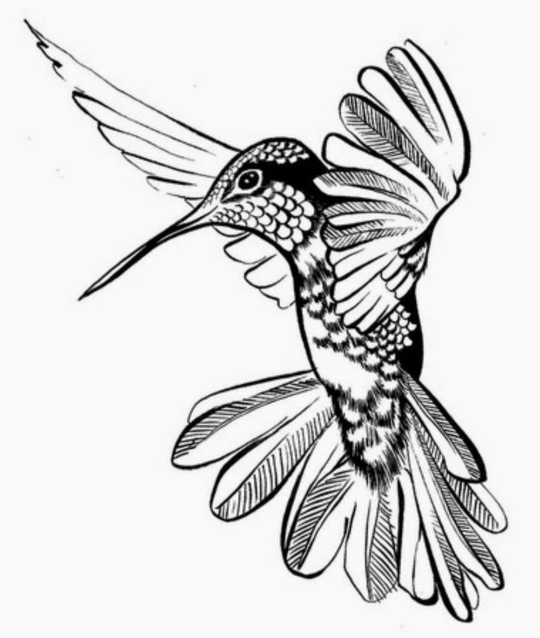 1058x1250 Simple Hummingbird Outline - Hummingbird Drawing Clip Art