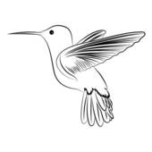170x170 free humming bird clipart - Hummingbird Drawing Clip Art