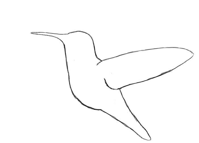 700x503 How To Draw A Hummingbird How To Draw, Sketch, Stencil,clip Art - Hummingbird Drawing Easy