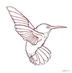 236x239 How To Draw A Hummingbird And Flower, Step - Hummingbird Drawing Images