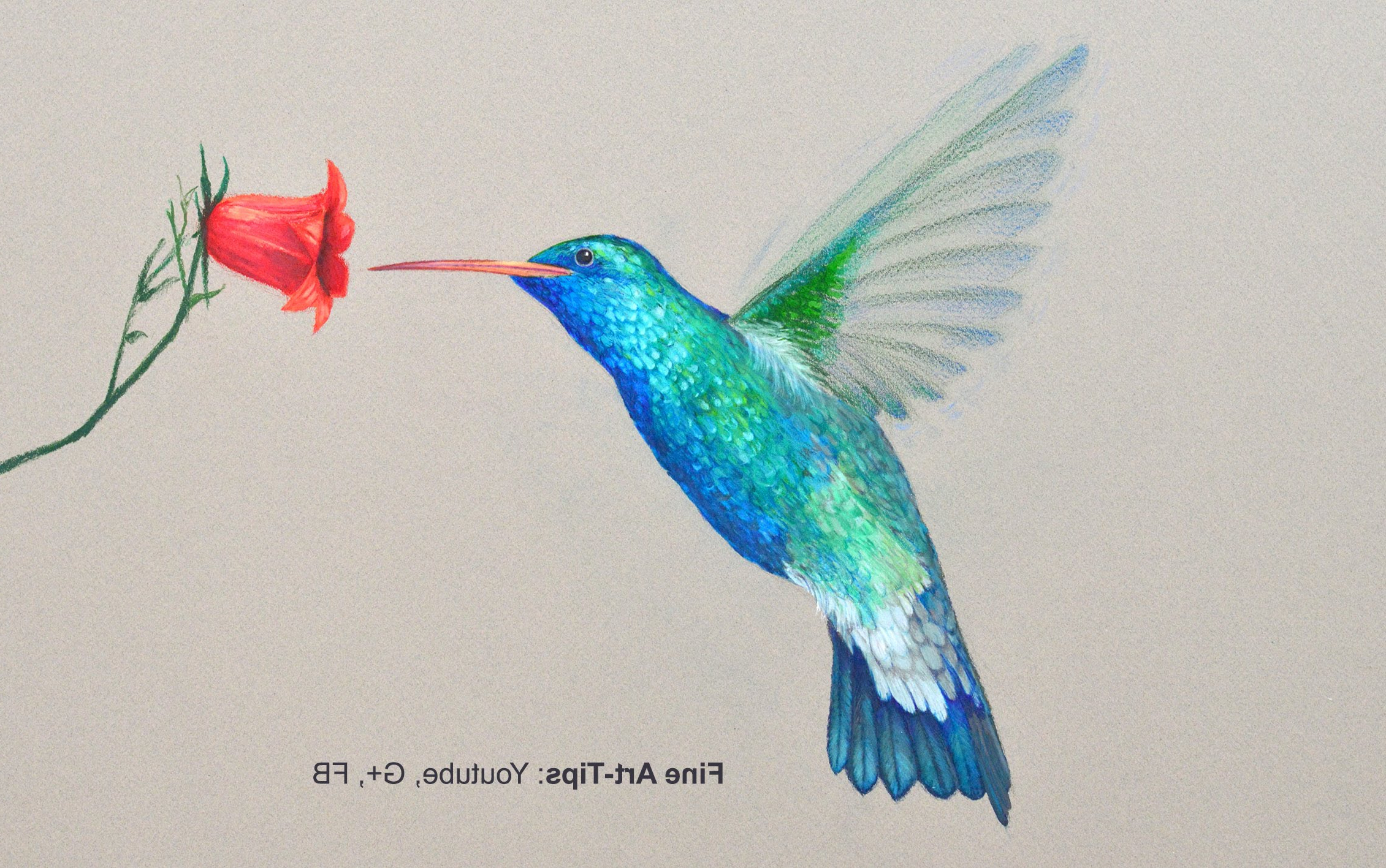 2261x1417 Hummingbird Color Pencil Drawing Colourful Amazing Drawings How - Hummingbird Drawing Images