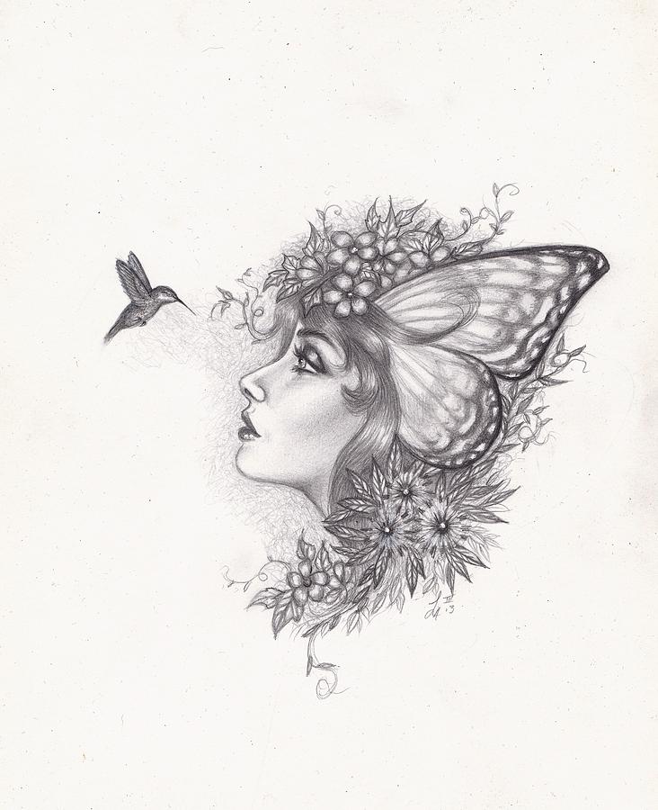 732x900 Hummingbird Faerie Drawing - Hummingbird Drawing Images