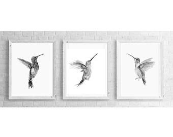 340x270 Hummingbird Drawing Etsy - Hummingbird Drawing Images