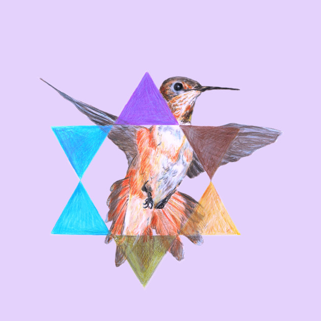 630x630 Star With Hummingbird Drawing - Hummingbird Drawing Images