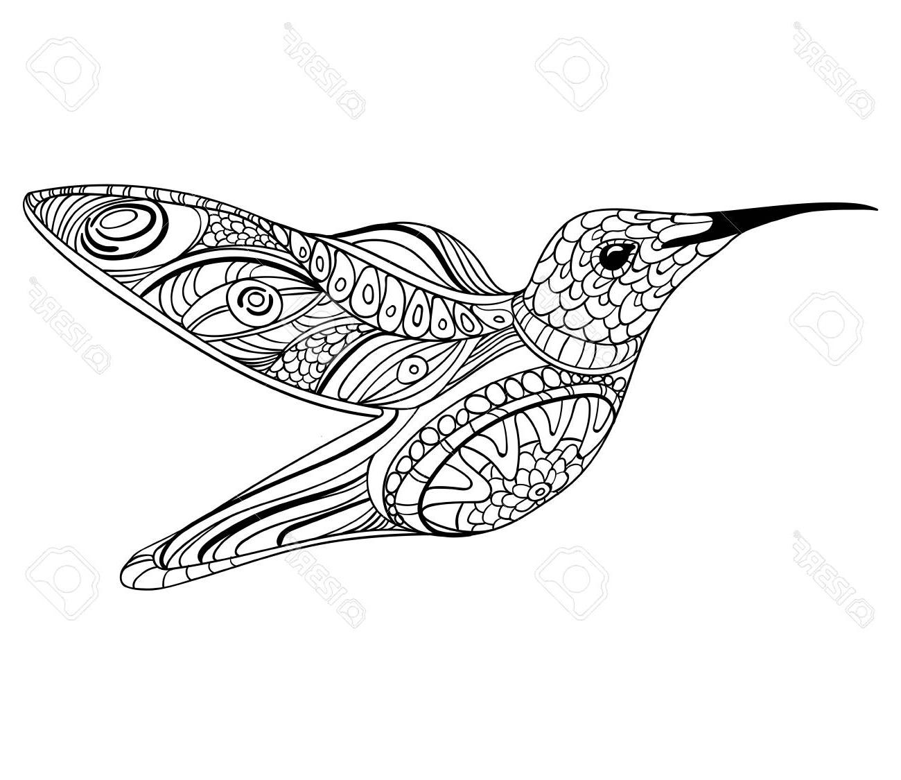 1300x1125 Best Hummingbird Drawing Image - Hummingbird Drawing Images