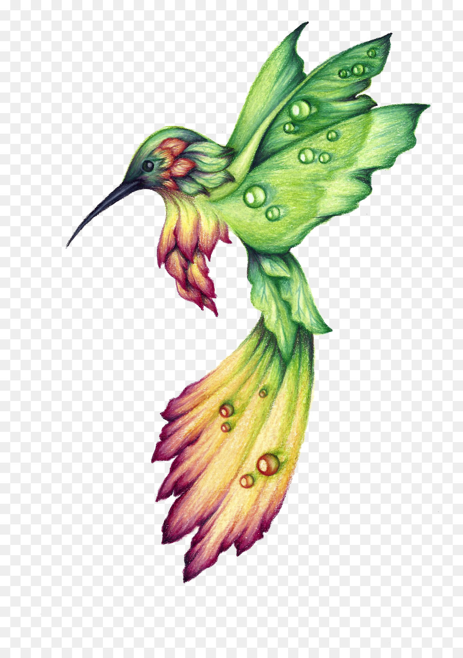 900x1280 Drawing, Bird, Illustration, Transparent Png Image Clipart Free - Hummingbird Drawing Images