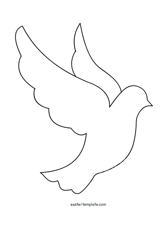 581x803 extraordinary bird outline awesome silhouette free vector dove - Hummingbird Drawing Outline