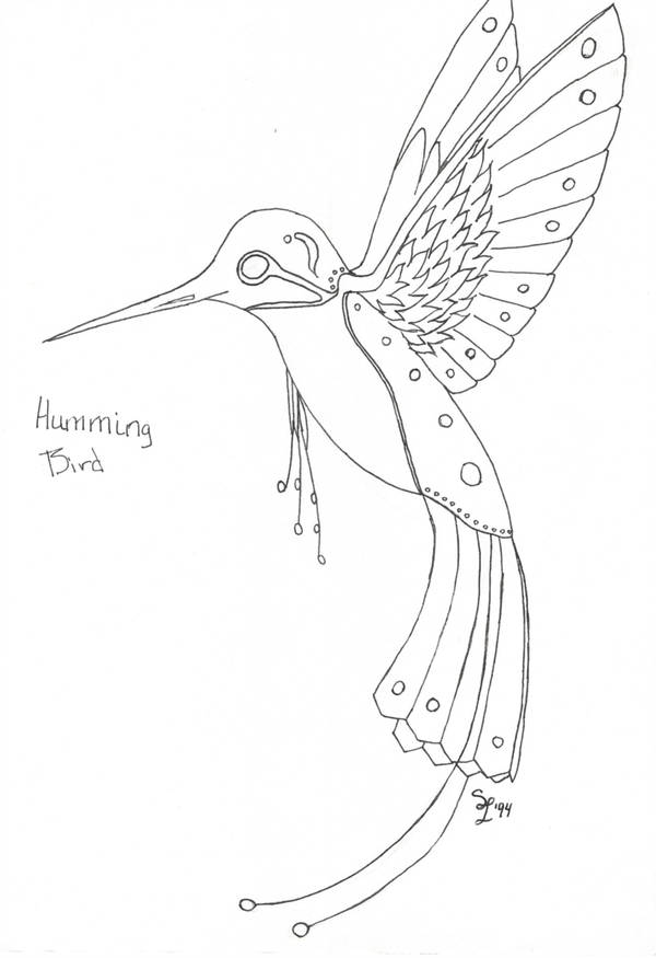 Hummingbird Drawing Outline at PaintingValley.com | Explore collection