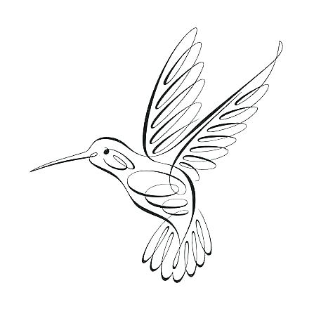 Hummingbird Drawing Outline at PaintingValley.com | Explore collection