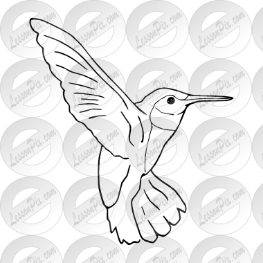 380x380 Hummingbird Outline For Classroom Therapy Use - Hummingbird Drawing Outline