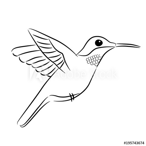 500x500 Hummingbirds Outline Icon Or Symbol Vector Illustration - Hummingbird Drawing Outline