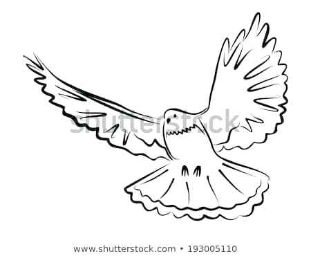 450x370 Simple Bird Outline Tattoo Hummingbird - Hummingbird Drawing Outline