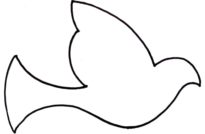 833x546 Bird Outline Template Amazing Coloring Sheets Simple Hummingbird - Hummingbird Drawing Outline