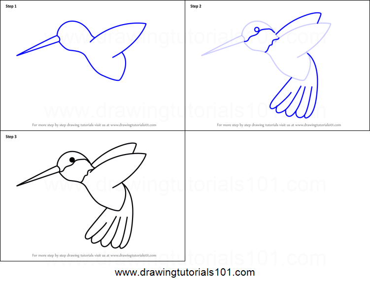 751x581 How To Draw A Hummingbird For Kids Printable Step - Hummingbird Drawing Step By Step