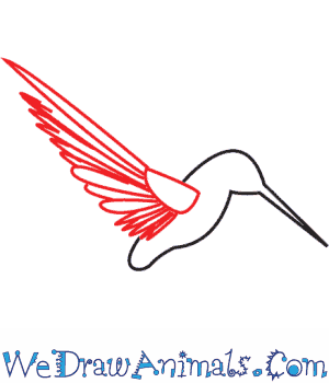 300x350 How To Draw A Hummingbird - Hummingbird Drawing Step By Step