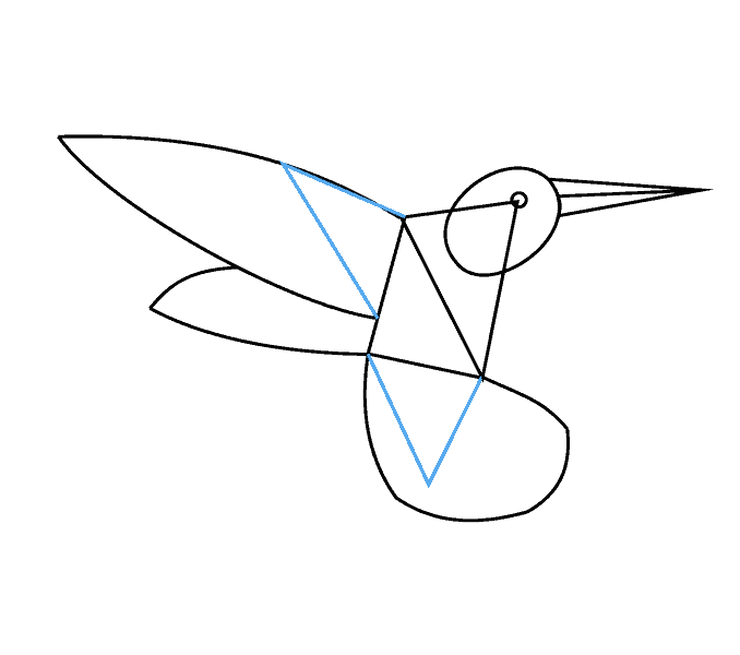678x600 How To Draw A Hummingbird Easy Step - Hummingbird Drawing Step By Step