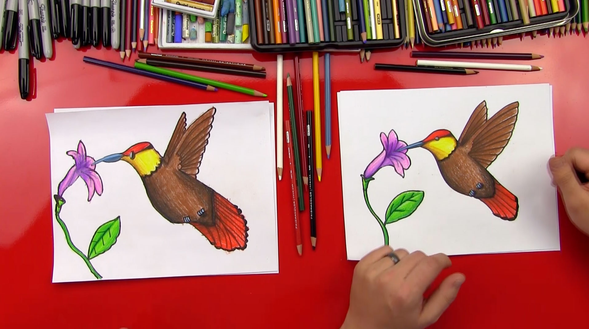 1915x1070 How To Draw A Hummingbird - Hummingbird Drawing Step By Step