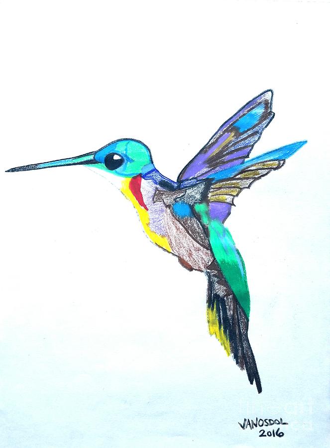 663x900 Hummingbird Presented In Colored Pencil Drawing - Hummingbird Drawings In Pencil