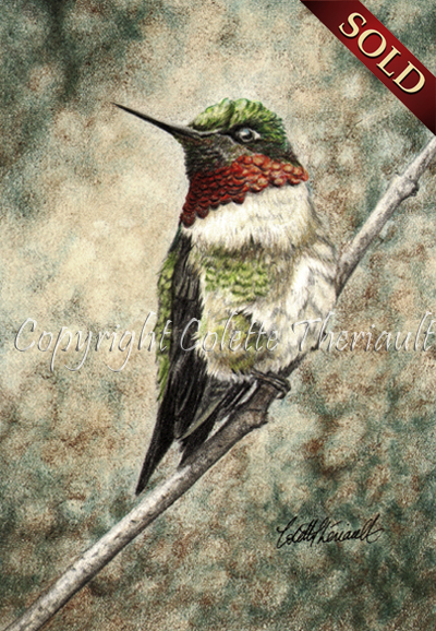400x578 Ruby Throated Hummingbird Drawing Colored Pencil - Hummingbird Drawings In Pencil