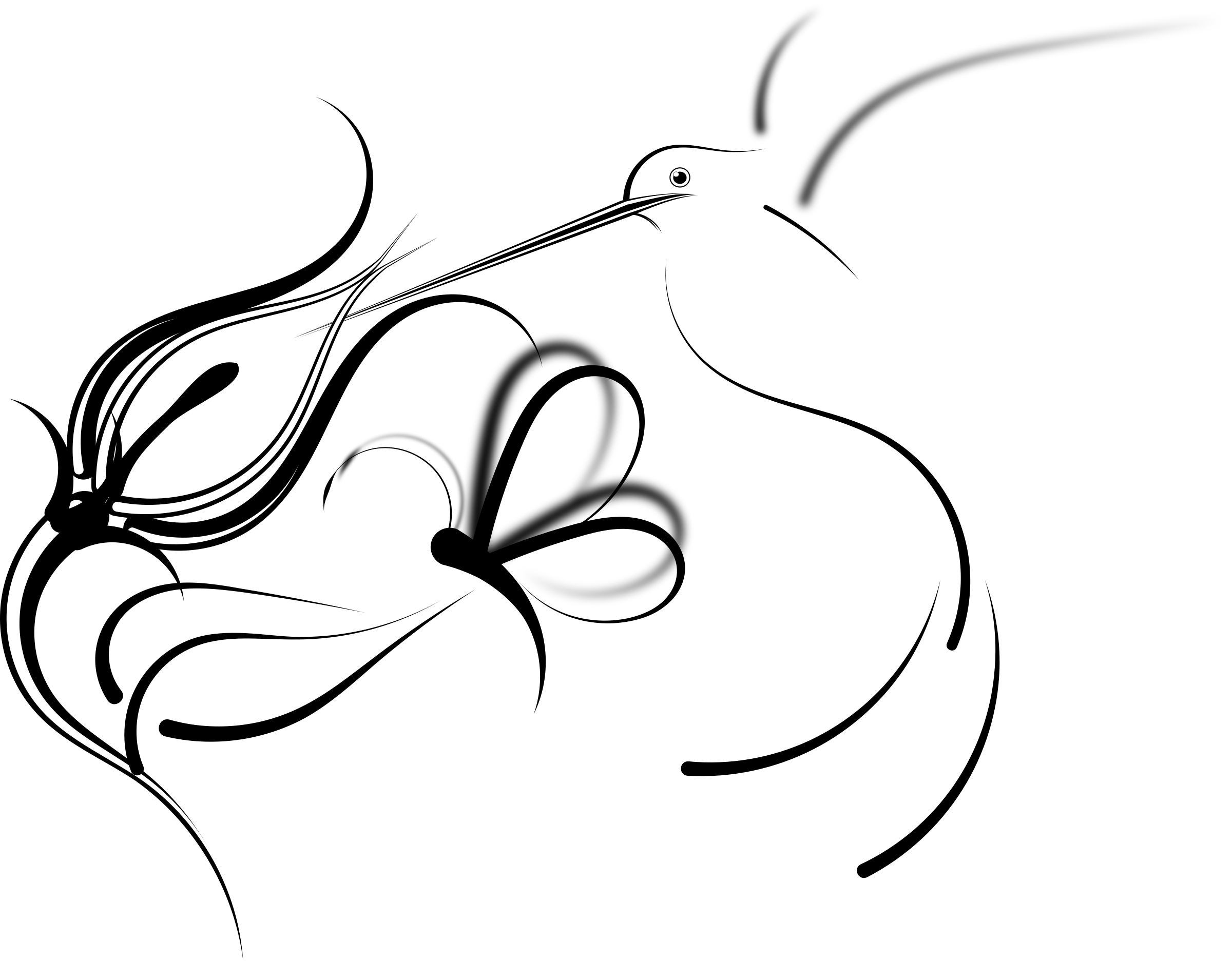 Simple Hummingbird Drawing at PaintingValley.com | Explore collection ...