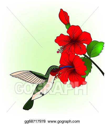 399x470 Huge Collection Of 'hummingbird And Flower Clipart' Download More - Hummingbird Flower Drawing
