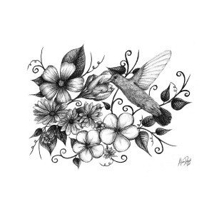 300x300 Hummingbird And Floral Sketch Drawing - Hummingbird Flower Drawing