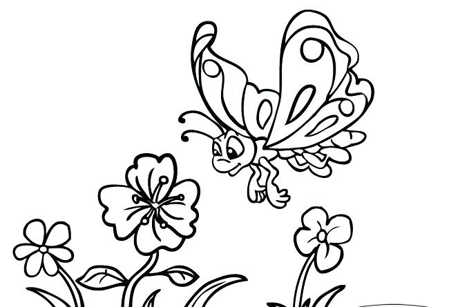 650x445 Hummingbird And Flower Drawing At Free For Flower With Butterfly - Hummingbird Flower Drawing