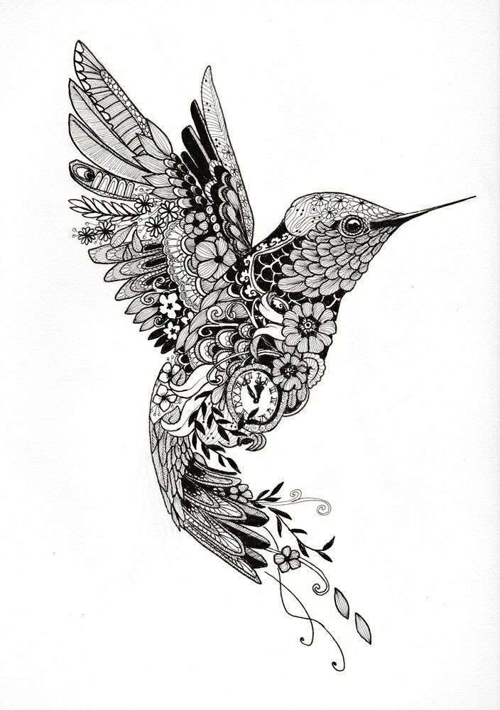 704x1000 Hummingbird Drawings Unique Hummingbird And Flower Drawing - Hummingbird Flower Drawing