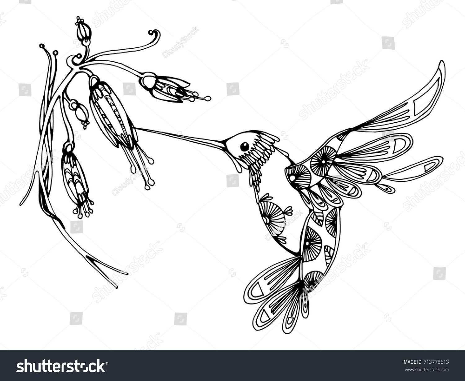 1500x1230 Hummingbird With Flower Drawing - Hummingbird Flower Drawing