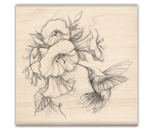 310x265 Hummingbird With Flowers Drawing - Hummingbird Flower Drawing
